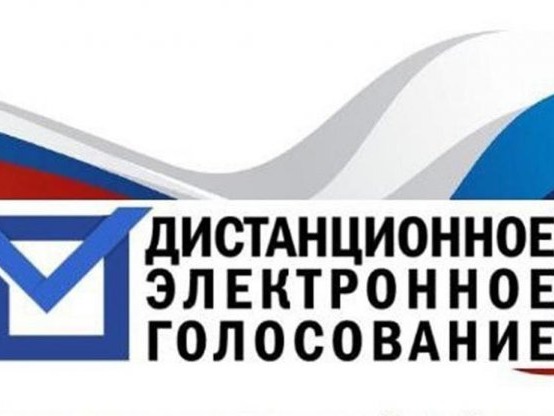 С 3 августа начинается подача заявлений от избирателей, желающих проголосовать с помощью ДЭГ.