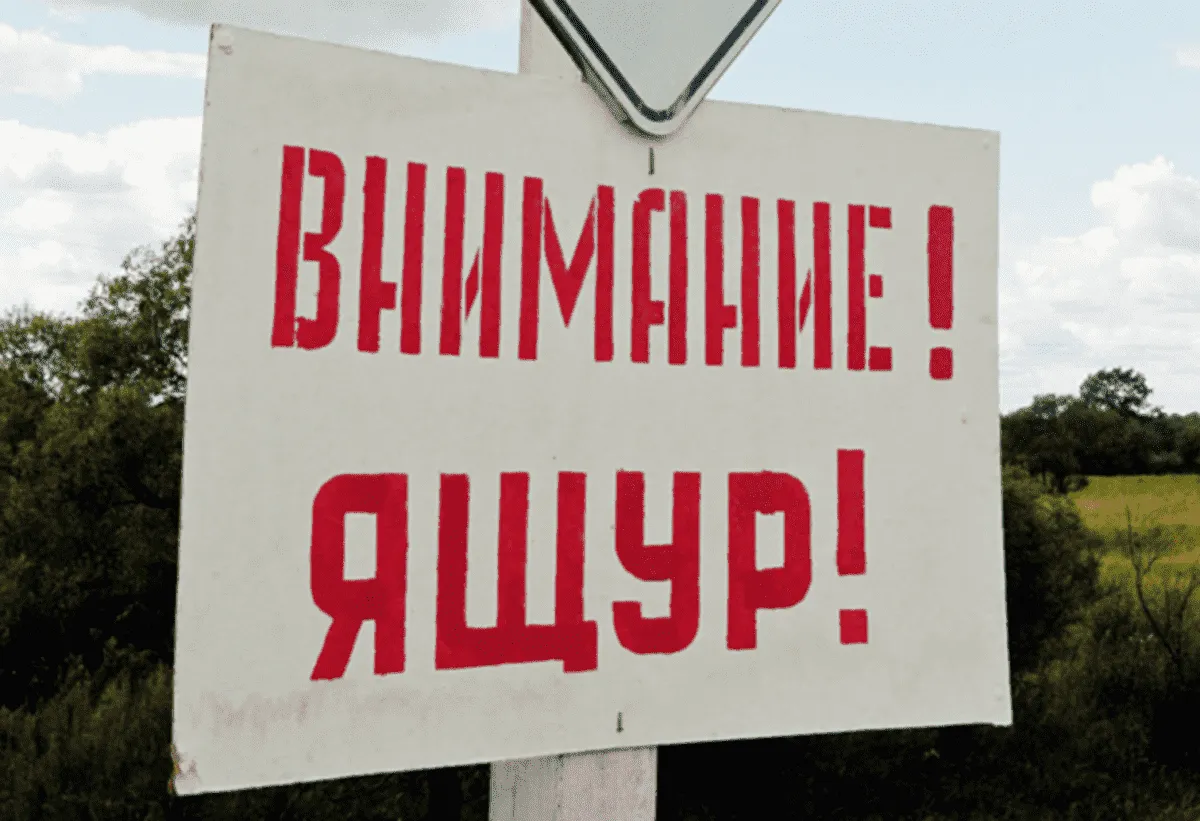 Памятка по профилактике ящура.