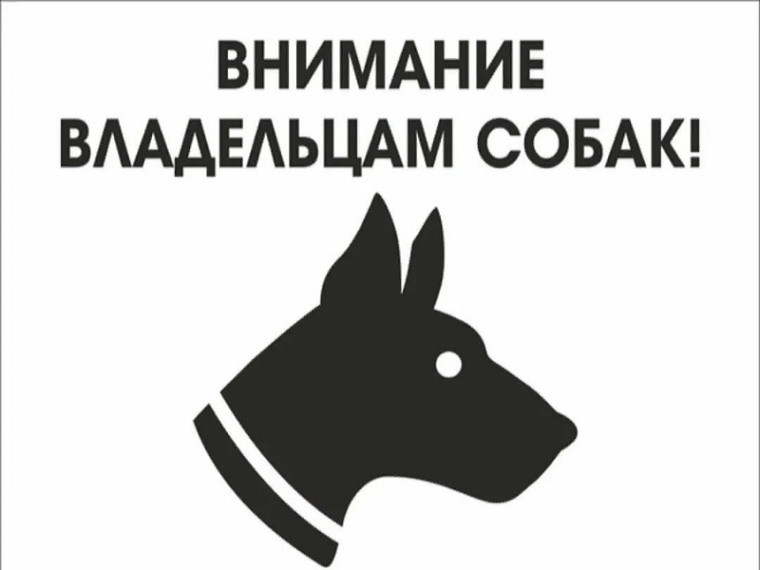 Владельцам домашних животных!. Владельцам домашних животных!.